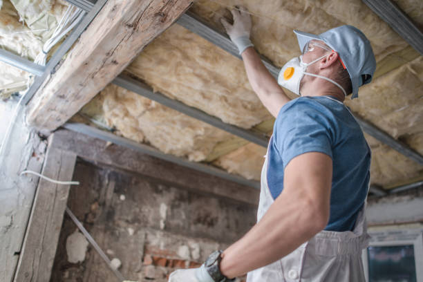 Best Energy Efficiency Solutions in Terrace Heights, WA